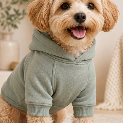 KIVZARONA™ Studio Essential Pet Hoodie | Minimalist Dog Puppy Sweatshirt